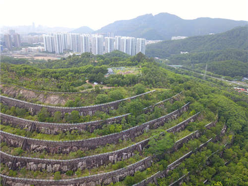 安托山公園尚未開放山頂就已成共享單車墳場