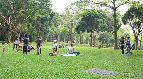 深圳免費的公園那么多，你去全了嗎？