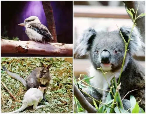 香港海洋公園