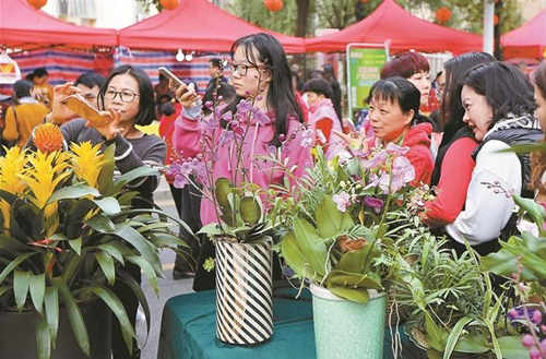 深圳迎春花市將于1月31日在會展中心舉行