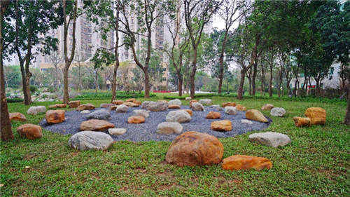 深圳首個寵物公園落地福田 還有交通科普公園