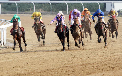 香港有什么特色娛樂 香港賽馬了解一下