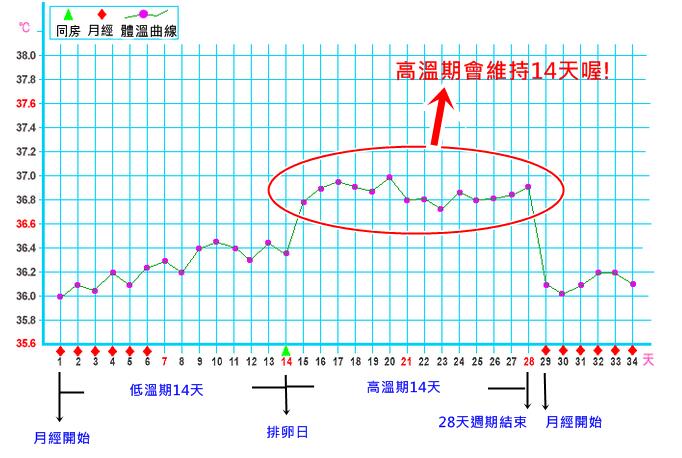 基礎體溫怎么測 基礎體溫曲線圖