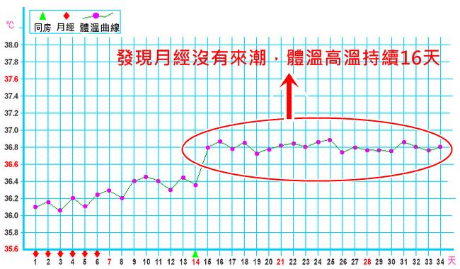 基礎體溫曲線圖