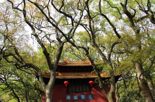 2019普陀山門票多少錢 普陀山門票優(yōu)惠政策