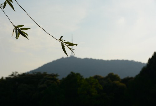 2019大蜀山森林公園門票多少錢