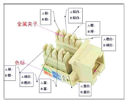 電腦網(wǎng)線插座接法圖文詳解