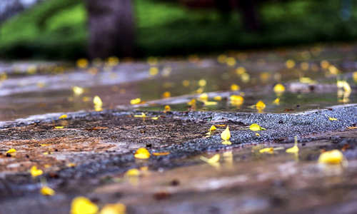 出行請注意 今明深圳局地有暴雨伴隨短時大風