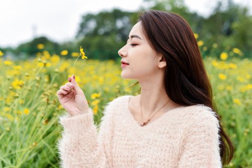 2019深圳7月賞花指南 牛角龍花海漫山遍野