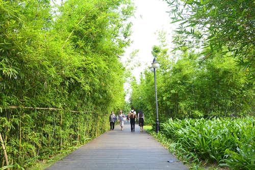  　　深圳有哪些公園 深圳好玩的公園盤點