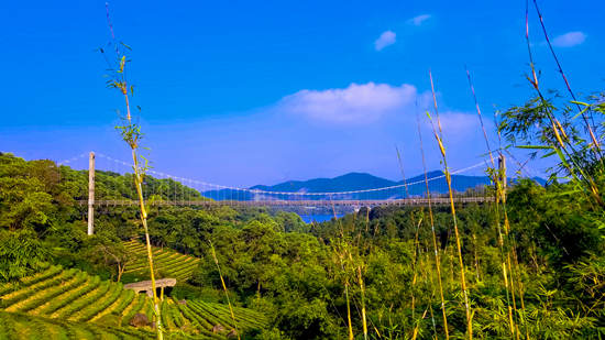 華僑城茶溪谷景區(qū)閉園升級改造