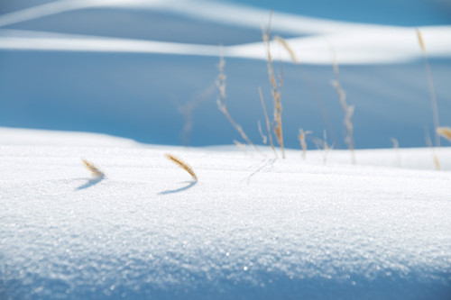 雪景哪里最美 國(guó)內(nèi)看雪景哪里最美