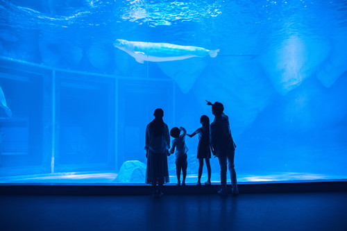 上海海洋水族館門票價(jià)格及開放時(shí)間介紹