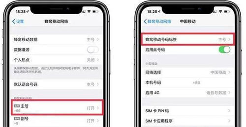 怎樣更改sim卡名稱 iPhone給sim卡修改名稱方法