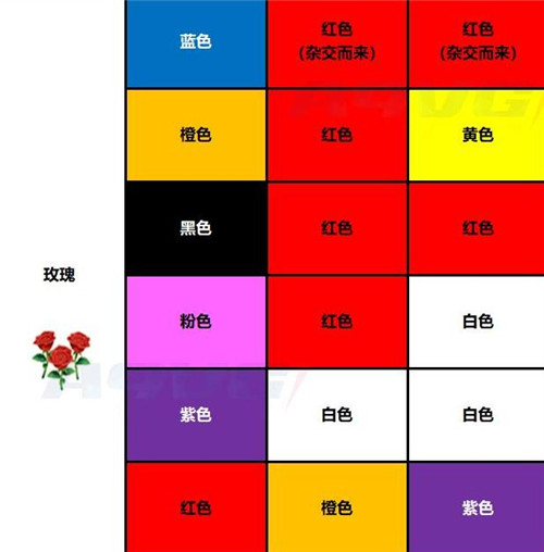 動(dòng)物森友會(huì)花卉雜交攻略 花卉雜交品種顏色大全