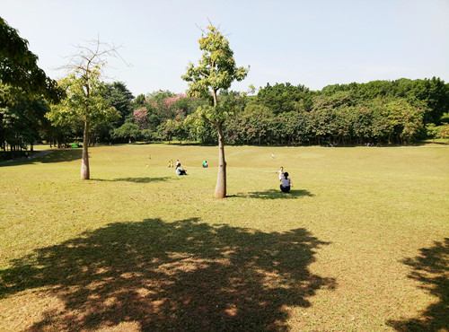 2020深圳適合野餐的公園安利 這幾個(gè)不容錯(cuò)過