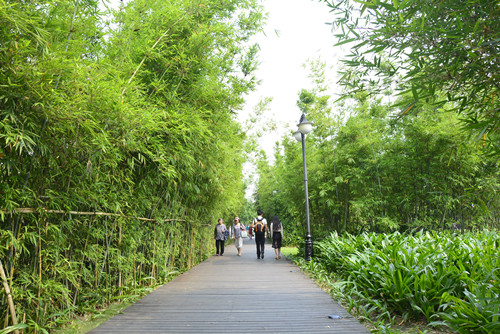 2020深圳適合野餐的公園安利 這幾個不容錯過