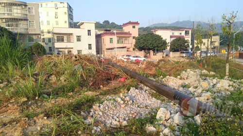 深圳又有“網紅”公園開放 景美還免費