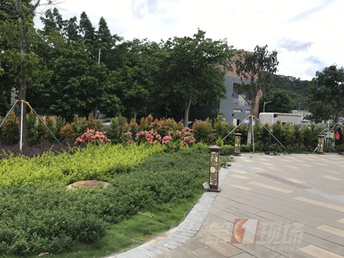 深圳又有“網紅”公園開放 景美還免費