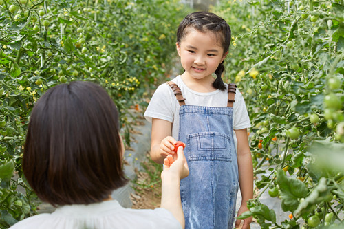 深圳農(nóng)家樂(lè)一日游推薦 深圳農(nóng)家樂(lè)排名