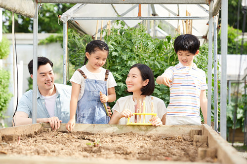 深圳適合帶孩子去的農(nóng)家樂有哪些 安利這幾個地方