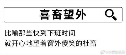 社畜是什么梗什么意思 形容社畜的成語表情包