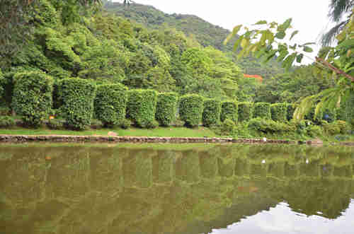 深圳仙湖植物園門票多少錢 仙湖植物園開放時間