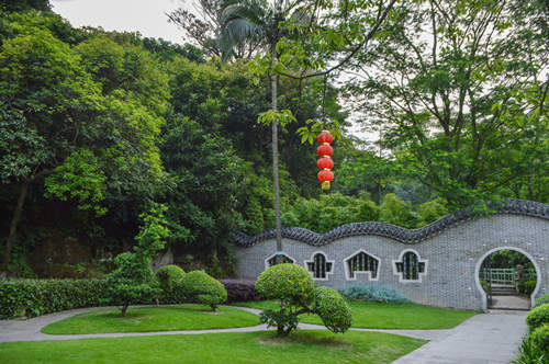 深圳周邊賞花好去處 深圳周邊賞花最佳景點(diǎn)