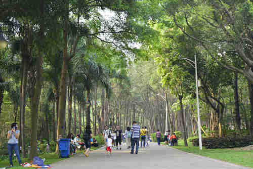 深圳旅游景點大全 深圳最好玩的地方有哪些