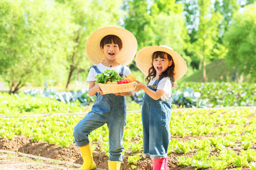 深圳有哪些農(nóng)家樂 深圳農(nóng)家樂推薦