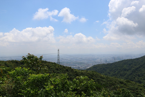 深圳龍華區(qū)免費(fèi)景點(diǎn)盤點(diǎn) 不容錯過的美景