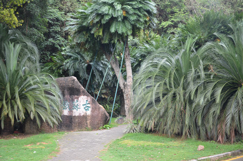 深圳仙湖植物園在哪里 仙湖植物園怎么去