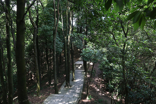 深圳八景有哪八景 深圳八景介紹