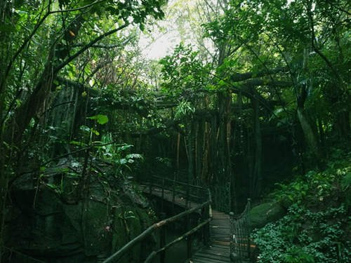 深圳有哪些旅游景點 深圳旅游景點排行榜