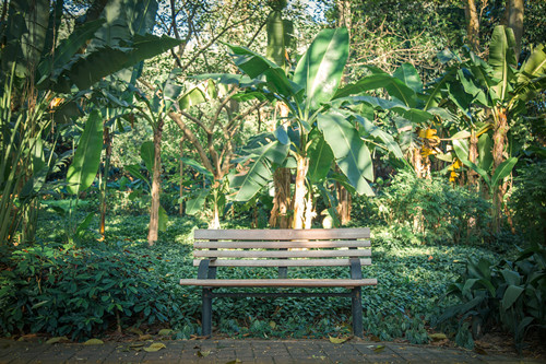 深圳免費公園有哪些 深圳免費公園盤點