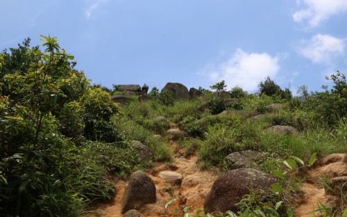 2019深圳羊臺(tái)山怎么樣 好玩嗎