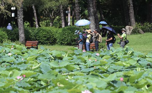 深圳公園端午期間迎客130.7萬人次