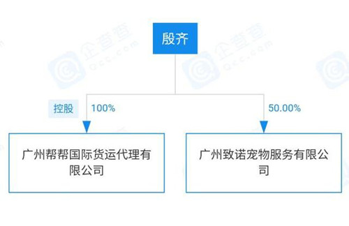 金毛siri事件始末 金毛siri最新后續(xù) 廣州幫幫托運資料