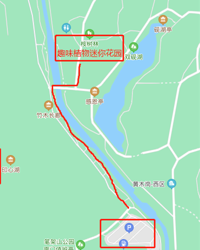 深圳福田區(qū)架山公園趣味植物迷你花園建成開放