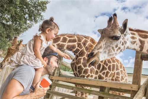 深圳野生動物園活動8月27日起有序恢復開放