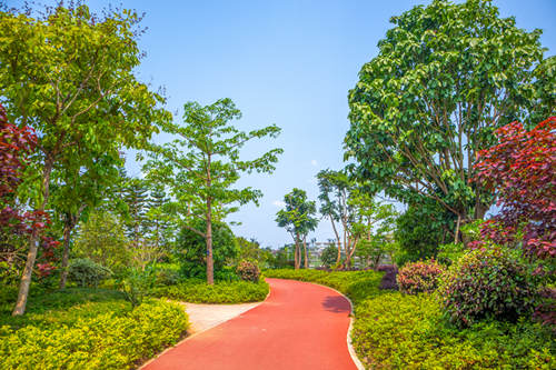 深圳地鐵10號線沿線景點合集