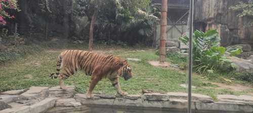 深圳動物園可以帶食物進(jìn)去嗎