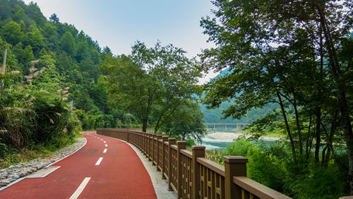 深圳綠道騎行路線推薦 深圳有哪些綠道