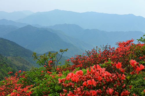 梧桐山爬山游玩攻略 梧桐山登山線路推薦