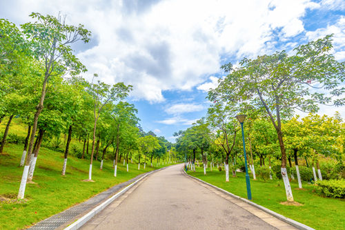 雪竹徑公園游玩攻略(附地址+交通線路)