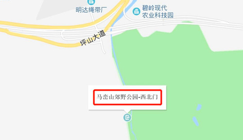 馬巒山早上能看到日出嗎 能看到海嗎