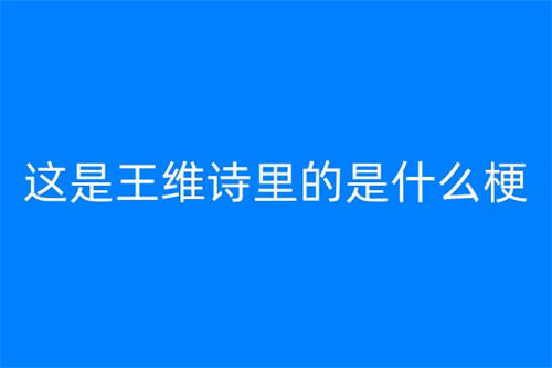 這是王維詩里的是什么梗 這是王維詩里的梗出自哪里