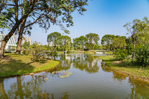 深圳香蜜公園中秋節(jié)開(kāi)放嗎 香蜜公園可以停車嗎