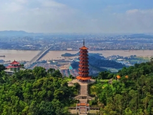 深圳大雁山森林公園在哪里(地址+怎么坐車去)