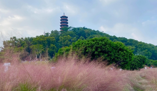 深圳紅花山公園開放時間(地址+交通指南)